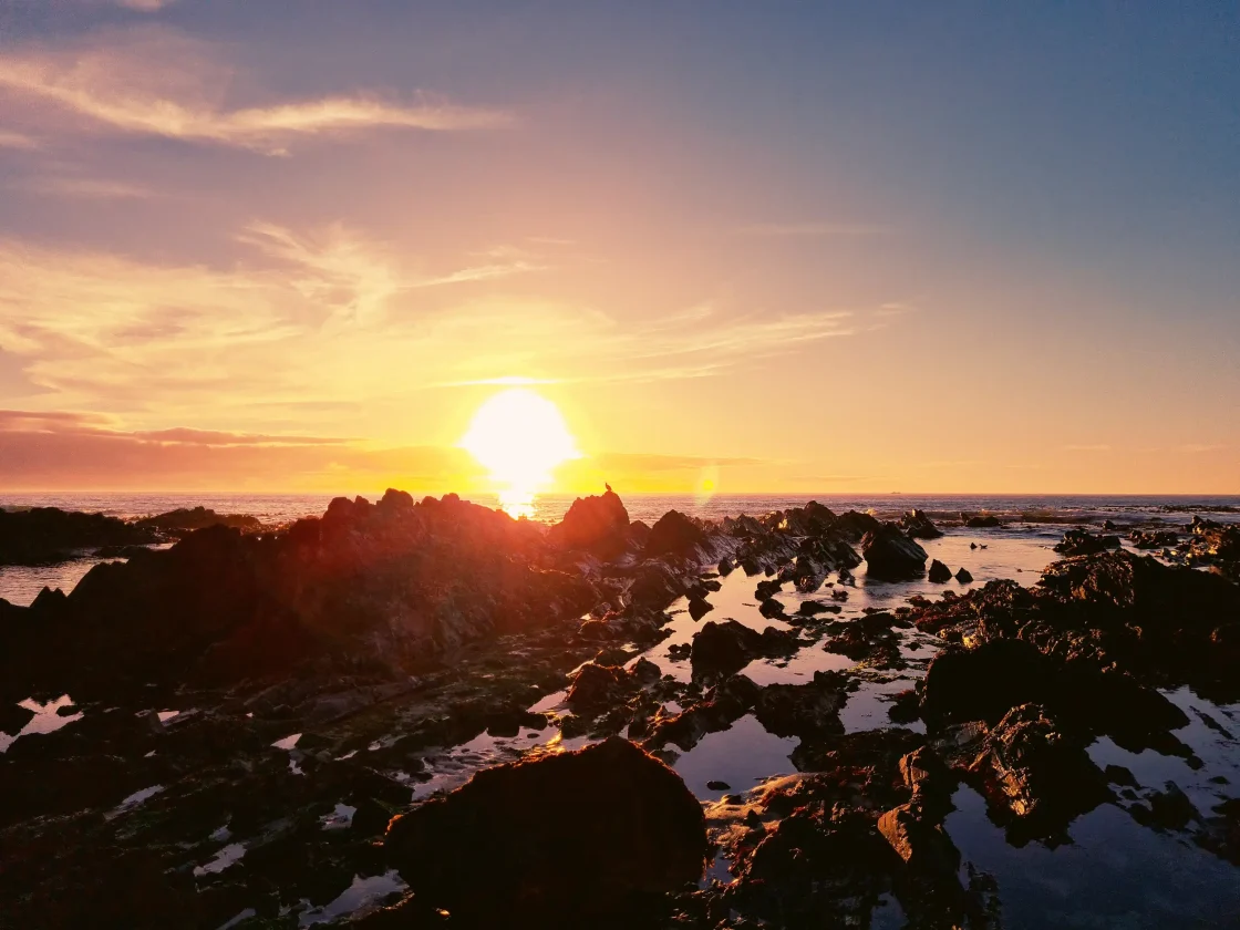 western cape sunset 003